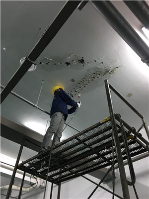 同人花園地下室漏水